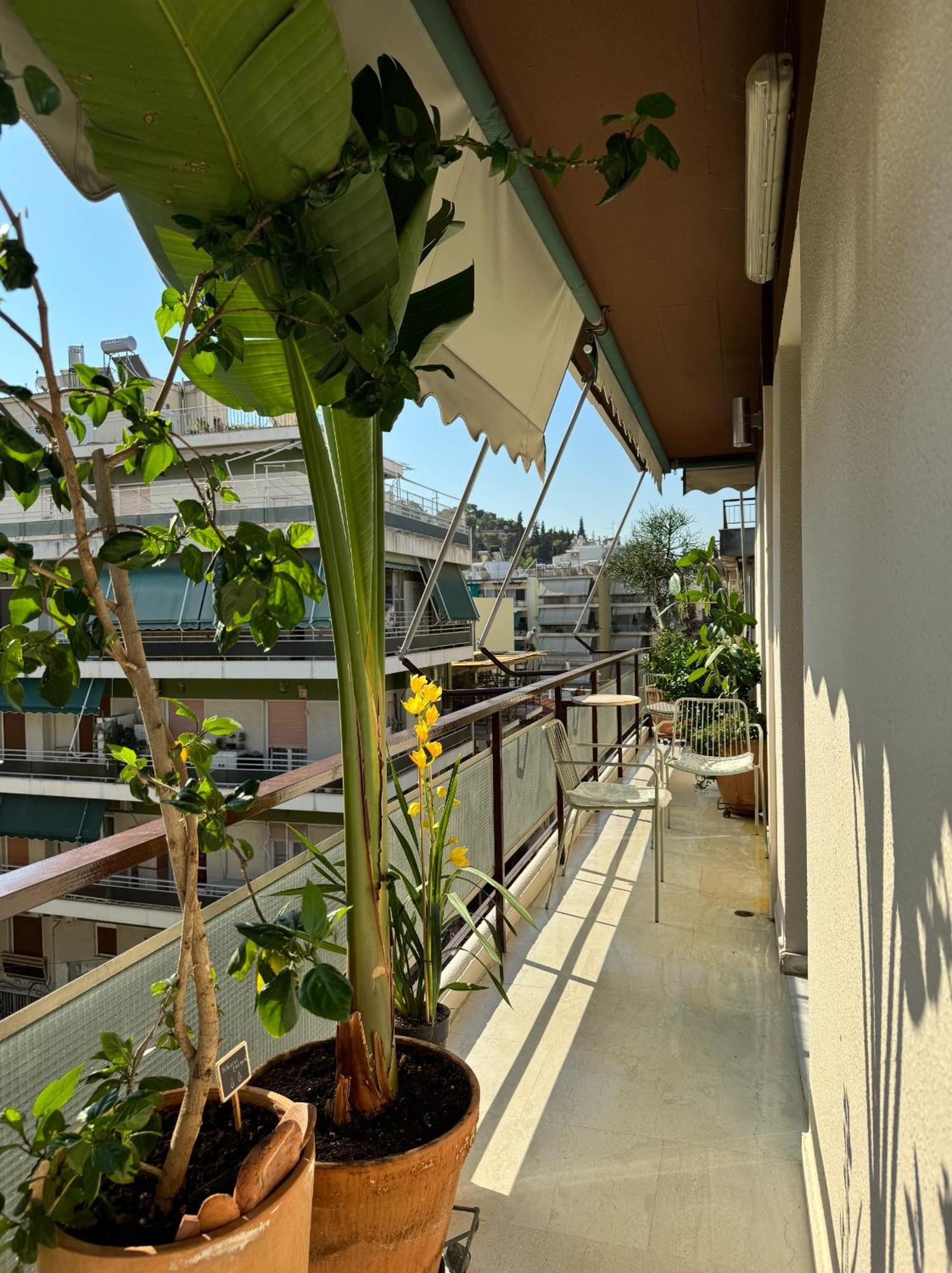 Friends & Family Apartment Athena Bagian luar foto