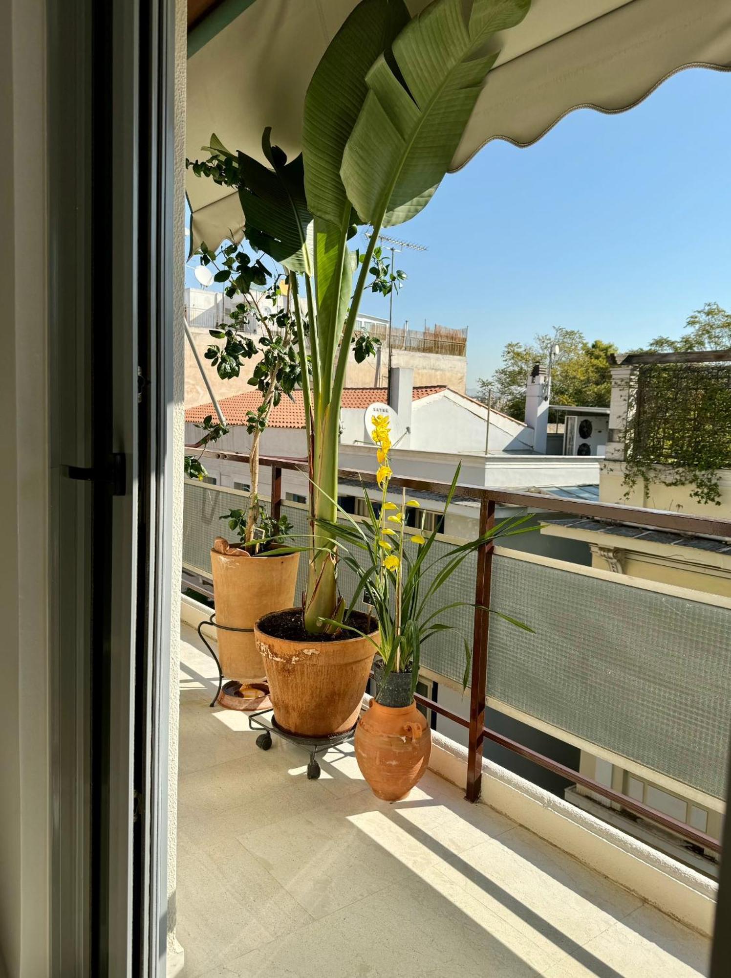 Friends & Family Apartment Athena Bagian luar foto